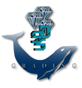 SSD Grading