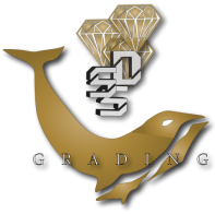 SSD Grading